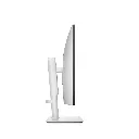 5.webp
