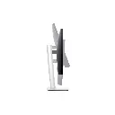 3.webp