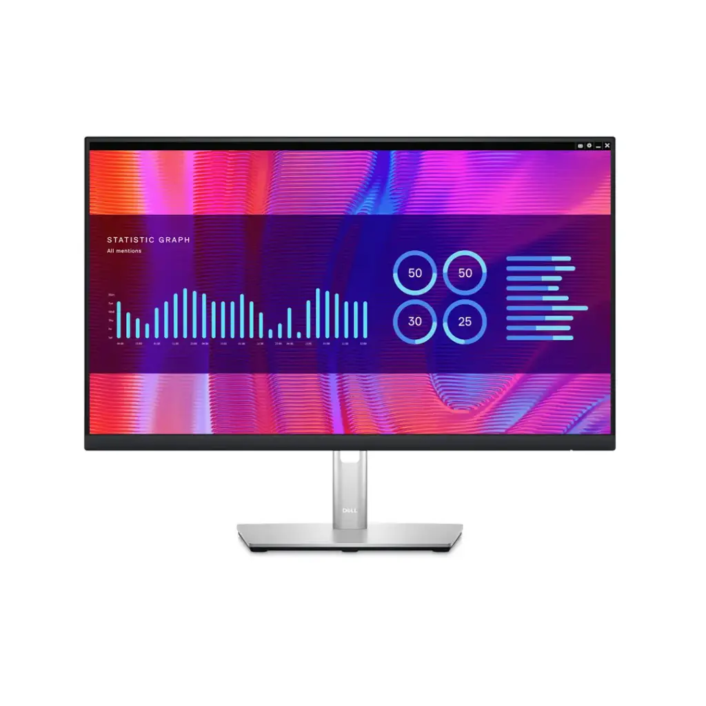 Dell 24 Monitor - P2423DE