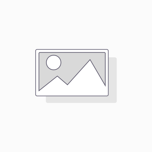 Dell Pro 24 Plus 16:10 USB-C Hub Monitor - P2425E