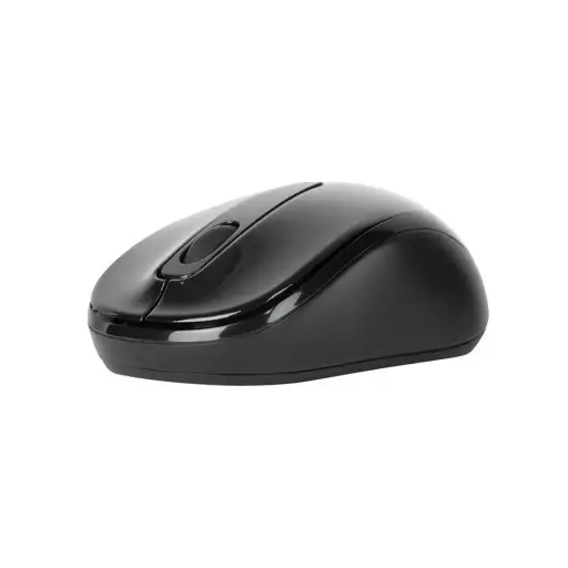 Basic Wireless Silent Mouse | Model: M101 